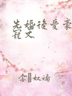 先婚后爱豪门甜宠文