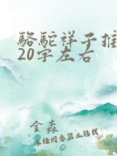 骆驼祥子推荐语20字左右