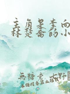 主角是李向南,林楚乔的小说