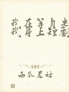 我在等月光落在我身上短剧免费观看