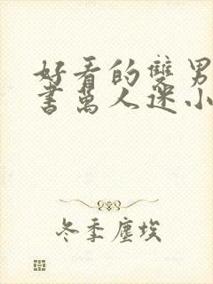 好看的双男主穿书万人迷小说