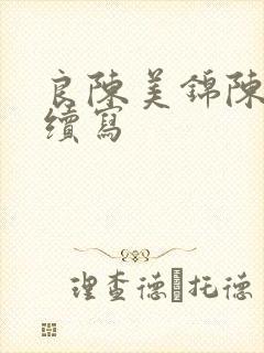 良陈美锦陈彦允续写