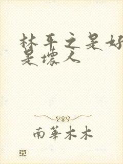 林平之是好人还是坏人