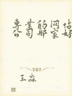 专业的网站制作公司哪家好