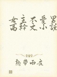 女主不爱男主的高干文小说