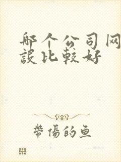 哪个公司网站建设比较好