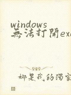 windows无法打开exe文件怎么办