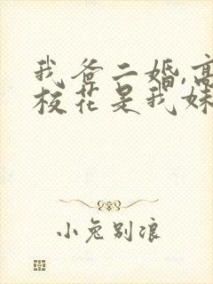 我爸二婚,高冷校花是我妹完结版