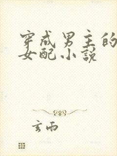 穿成男主的继妹女配小说