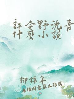 许今野沈青棠是什么小说