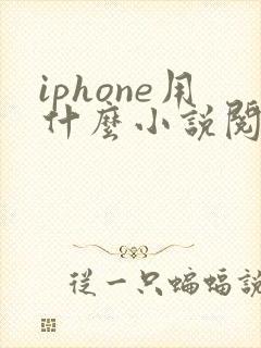 iphone用什么小说阅读器好