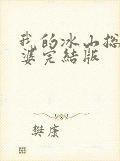 我的冰山总裁老婆完结版