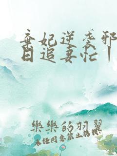 弃妃逆袭邪王日日追妻忙丨