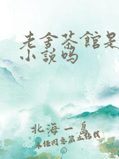 老舍茶馆是长篇小说吗