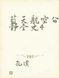 蓝天航空公司王静全文4