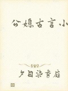 公媳古言小说
