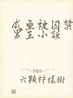 咸鱼被囚禁的双男主小说