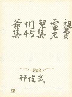 爷们儿电视剧全集45集免费