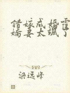 错嫁成婚霍少小娇妻太飒了