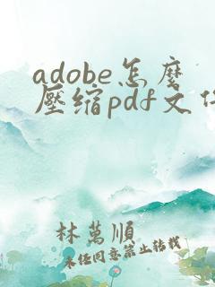 adobe怎么压缩pdf文件大小