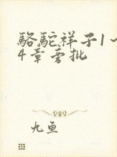 骆驼祥子1~24章旁批