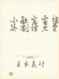 小敏家电视剧全集剧情免费观看