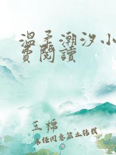 温柔潮汐小说免费阅读