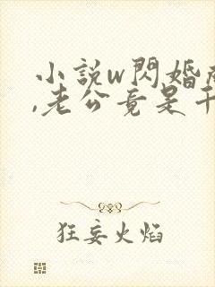 小说w闪婚成宠,老公竟是千亿大佬》