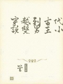 穿越到古代的小说双男主小说