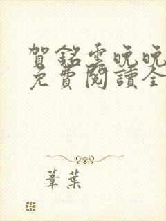 贺铭云晚晚小说免费阅读全文最新章节