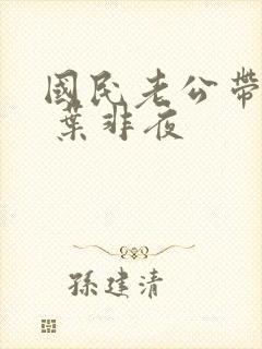国民老公带回家 叶非夜