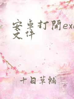 安卓打开exe文件