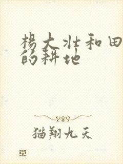 杨大壮和田桂花的耕地