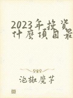 2023年投资什么项目最赚钱