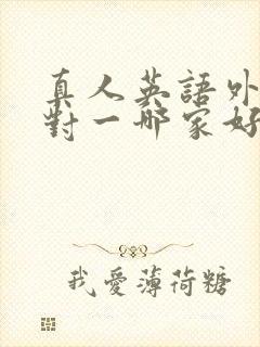 真人英语外教一对一哪家好