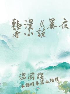 韩漫《暴夜》原著小说