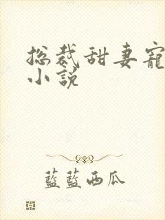 总裁甜妻宠上瘾小说