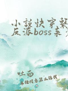 小说快穿系统之反派boss来袭