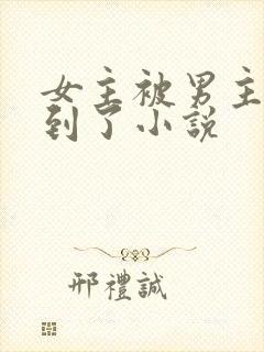 女主被男主们找到了小说