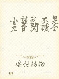 小说我不是戏神免费阅读全文无窗口