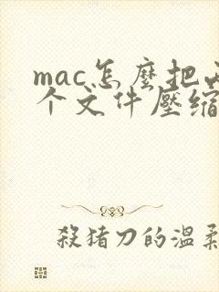 mac怎么把两个文件压缩在一起