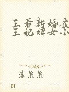 王爷新婚夜宠幸王妃婢女小说