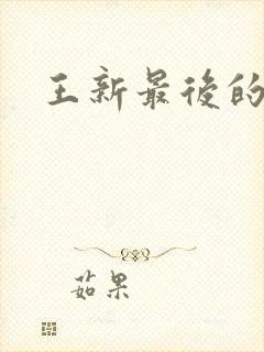 王新最后的结局