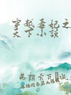 穿越毒妃之凤逆天下小说