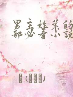 男主姓叶的50部必看小说