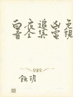 白夜追凶免费观看全集电视剧