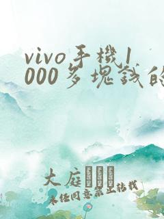 vivo手机1000多块钱的