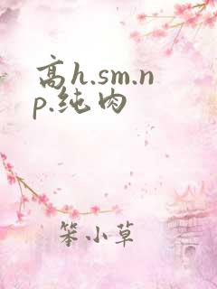 高h.sm.np.纯肉