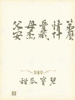 父母爱情第四集安杰藏什么