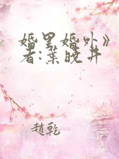 婚里婚外》 作者:叶晓井